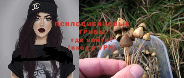 кокс Богданович