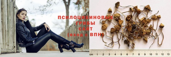 стафф Богородицк