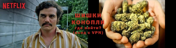 стафф Богородицк