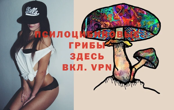 стафф Богородицк